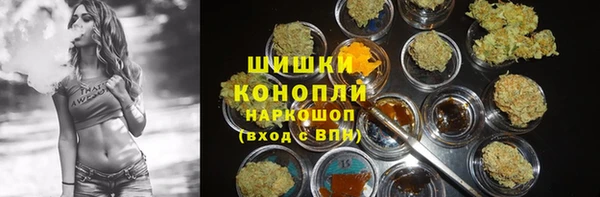a pvp Белокуриха