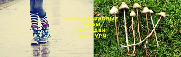 a pvp Белокуриха