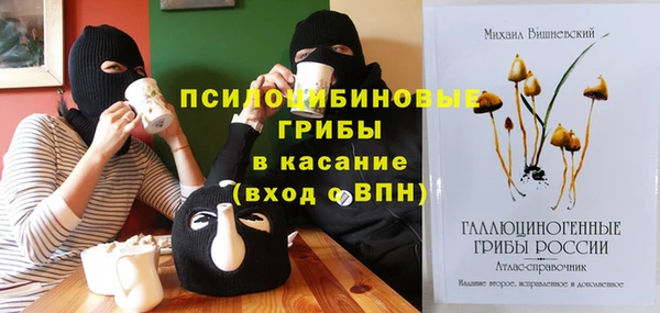 apvp Сосновка