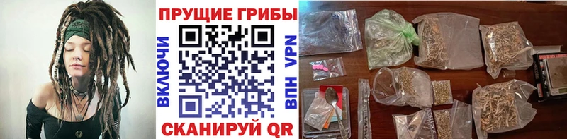 Галлюциногенные грибы Cubensis  Козьмодемьянск 